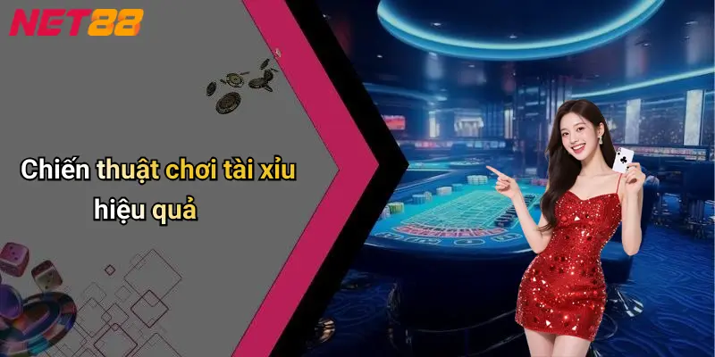 Chiến thuật chơi tài xỉu hiệu quả
