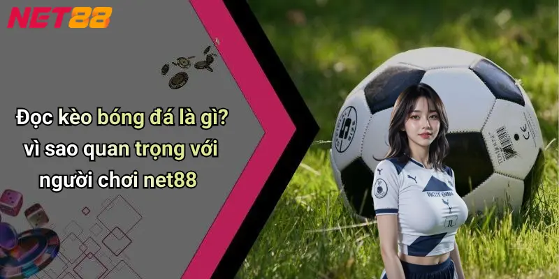 Đọc kèo bóng đá là gì? vì sao quan trọng với người chơi net88