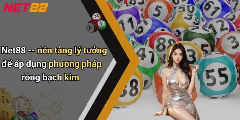 Net88 – nền tảng lý tưởng để áp dụng phương pháp rồng bạch kim