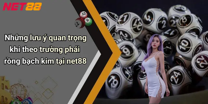 Những lưu ý quan trọng khi theo trường phái rồng bạch kim tại net88