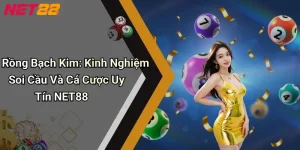 Rồng Bạch Kim: Kinh Nghiệm Soi Cầu Và Cá Cược Uy Tín NET88