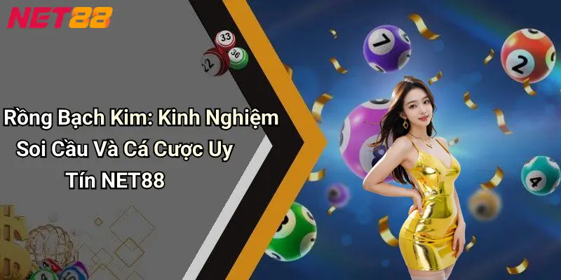 Rồng Bạch Kim: Kinh Nghiệm Soi Cầu Và Cá Cược Uy Tín NET88