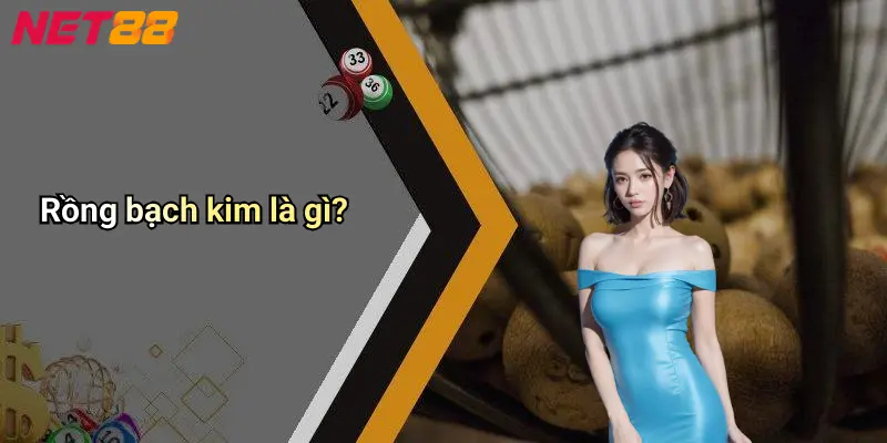Rồng bạch kim là gì?