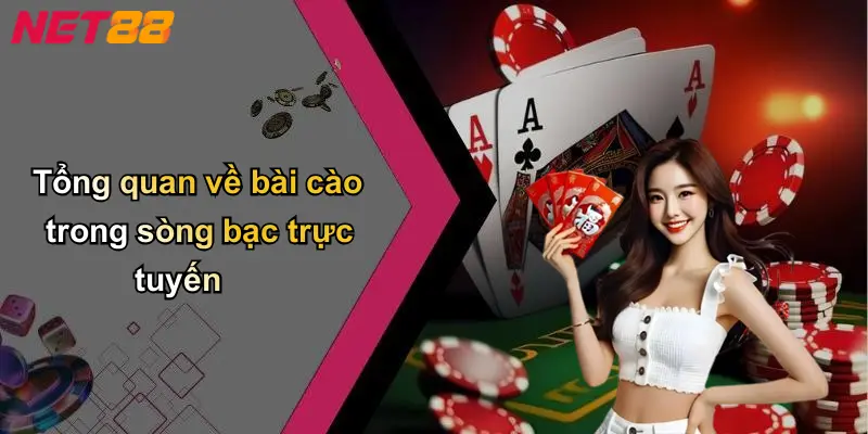 Tổng quan về bài cào trong sòng bạc trực tuyến